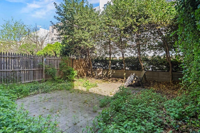 view of yard featuring a patio and a fenced backyard
