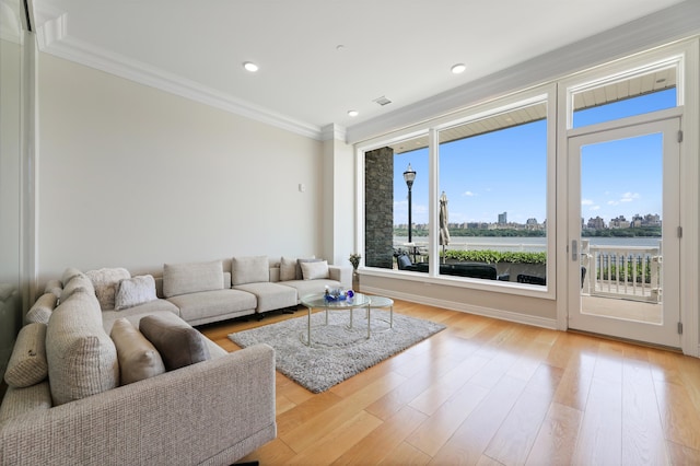 living room with a water view, light hardwood / wood-style flooring, and crown molding