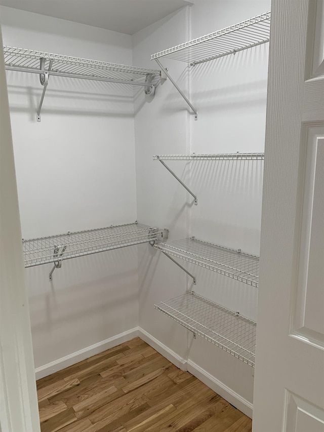 walk in closet featuring wood finished floors