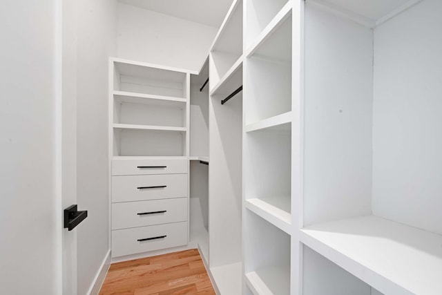 262 Webster Ave Unit 2, Jersey City, NJ 07307 - spacious closet with light wood finished floors