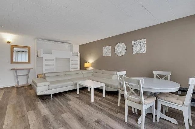 living area with wood finished floors