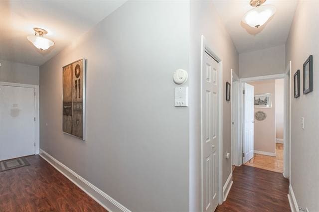 hall with dark wood-type flooring