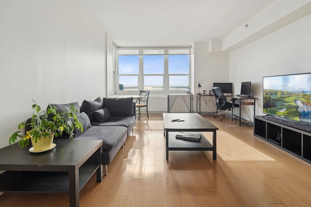 living room with wood finished floors
