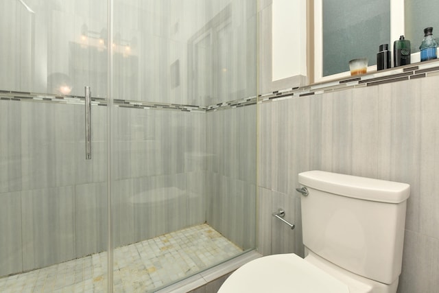 bathroom with toilet and a stall shower