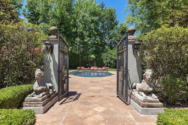 view of pool with a patio