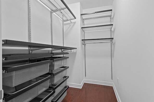 walk in closet with dark hardwood / wood-style flooring