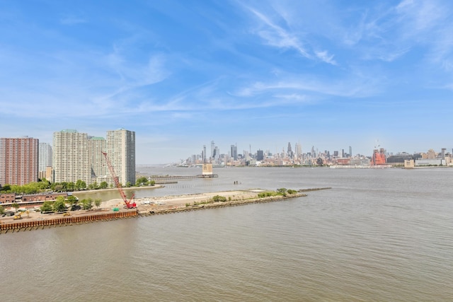 water view featuring a skyline view