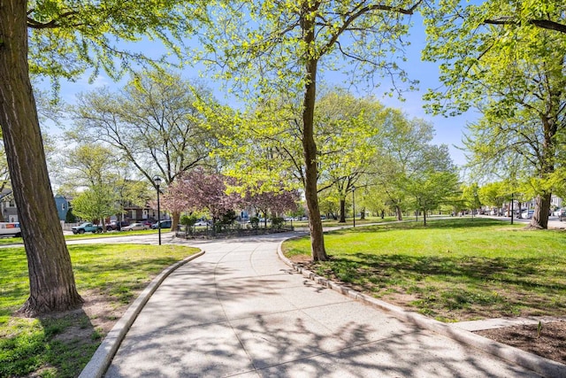 view of property's community with a yard