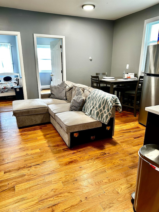 living room featuring light wood-type flooring and a healthy amount of sunlight