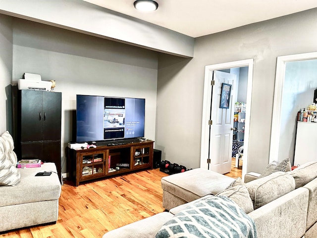 living room with wood-type flooring