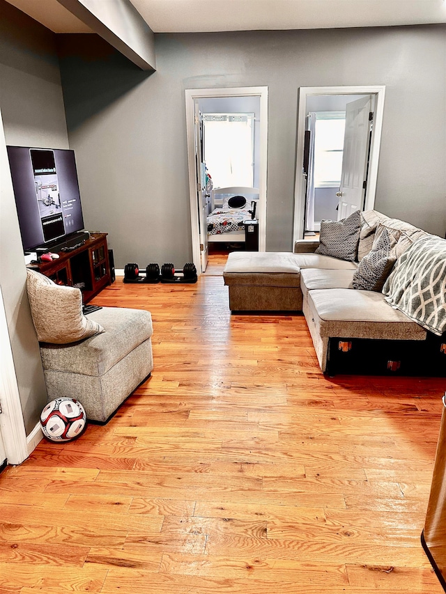 living room featuring light hardwood / wood-style flooring