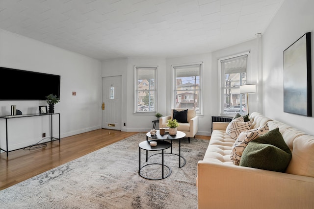 388 Kennedy Blvd, Bayonne, NJ 07002 - living room with wood finished floors and radiator heating unit