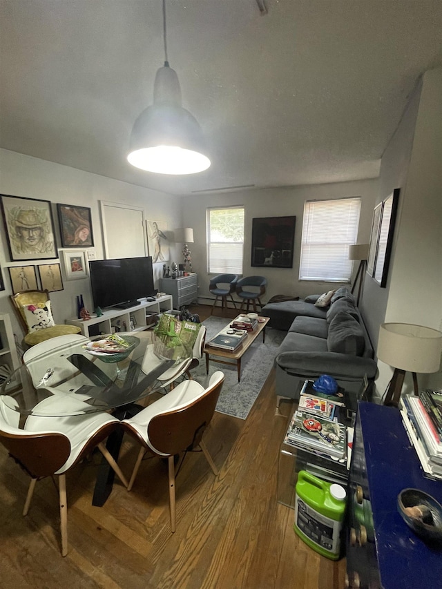 living room with wood finished floors