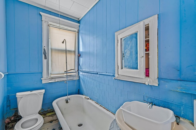 bathroom featuring a washtub, sink, and toilet