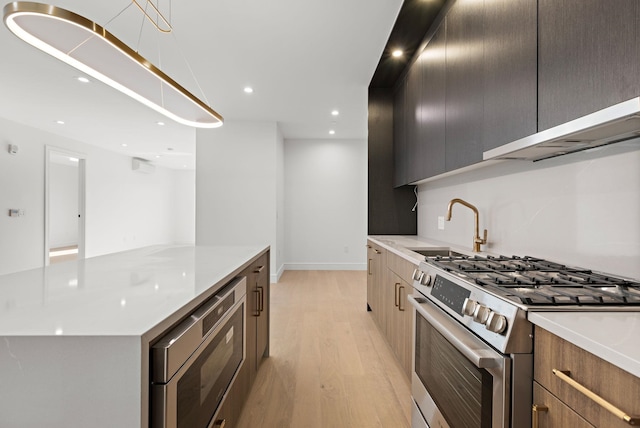 kitchen with modern cabinets, light wood-style flooring, a sink, under cabinet range hood, and stainless steel appliances