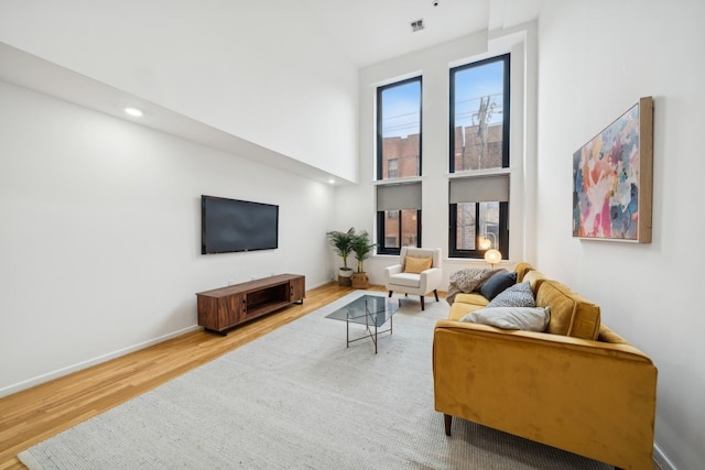 living room featuring wood-type flooring