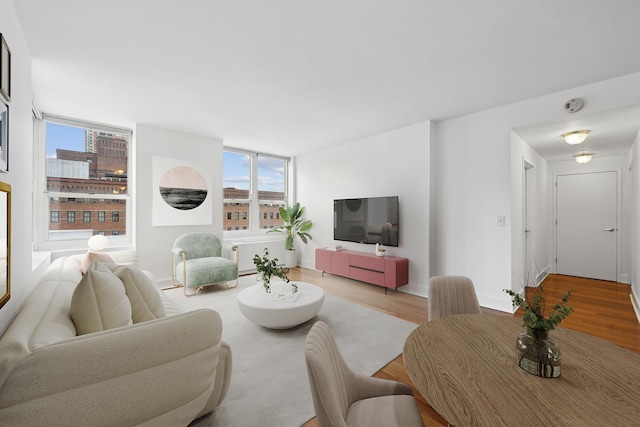 living room with light hardwood / wood-style flooring