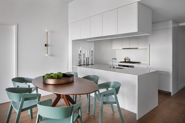 kitchen with white cabinetry, dark wood-type flooring, and sink