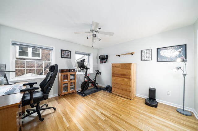 office space featuring light wood-type flooring, baseboards, and ceiling fan