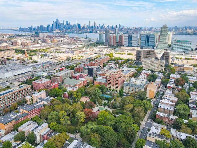 661 Jersey Ave Unit 2, Jersey City, NJ 07302 - drone / aerial view of city skyline