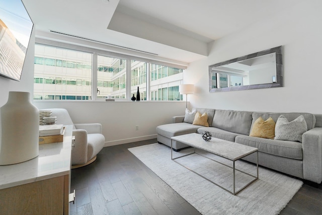 living room with dark hardwood / wood-style floors