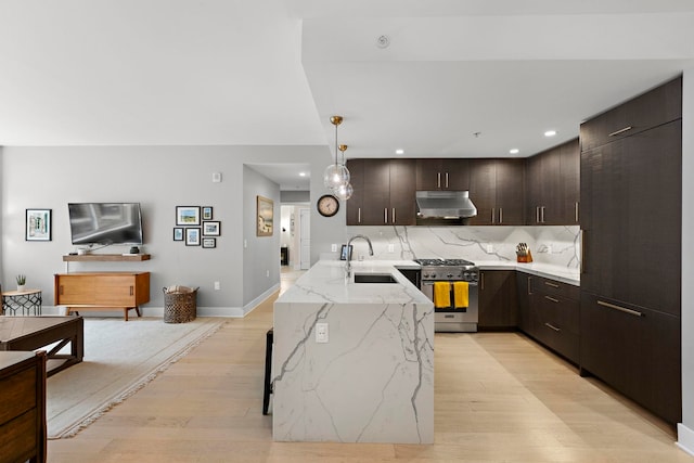 1400 Hudson St Unit 511, Hoboken, NJ 07030 - kitchen featuring high end stainless steel range, under cabinet range hood, light wood-type flooring, dark brown cabinets, and recessed lighting