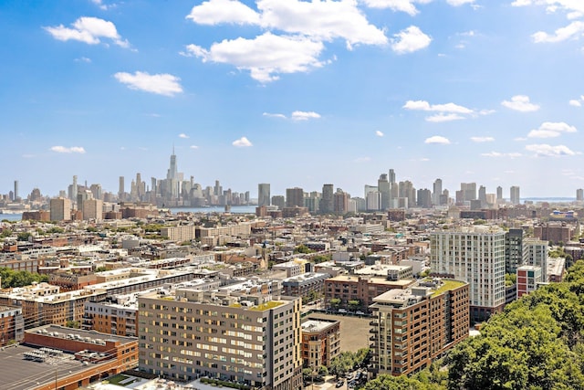 100 Manhattan Ave Unit 1517, Union City, NJ 07087 - skyline view