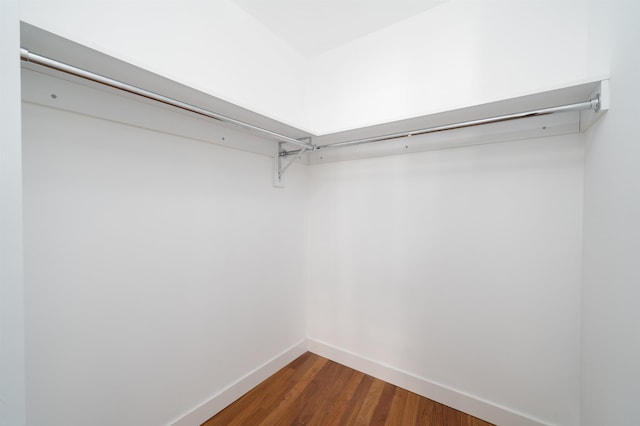 spacious closet featuring dark hardwood / wood-style floors