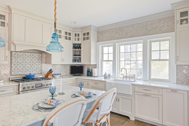 26 Bridge St, Bay Head Borough, NJ 08742 - kitchen featuring a sink, high end stove, backsplash, glass insert cabinets, and light stone counters