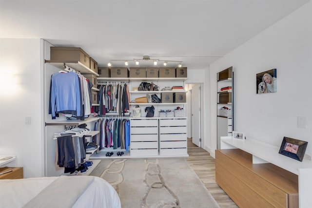 walk in closet featuring light hardwood / wood-style floors