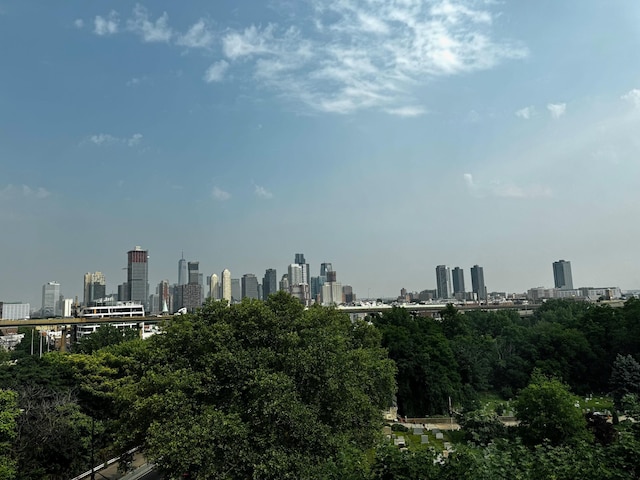 108 Waldo Ave Unit 4A, Jersey City, NJ 07306 - skyline view