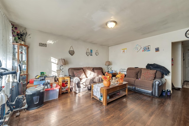 living room with wood finished floors