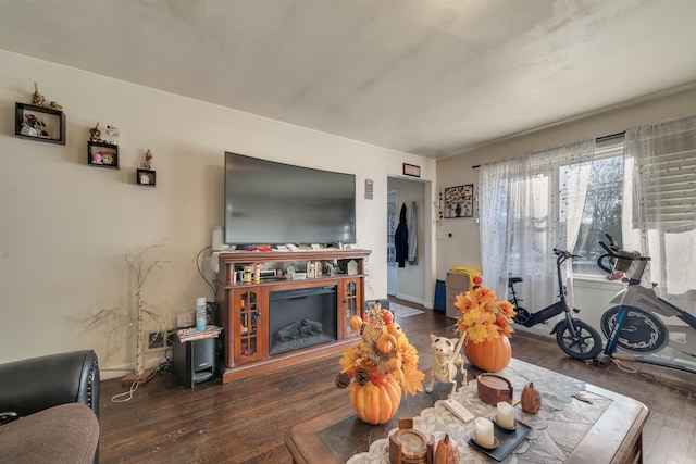 living room with wood finished floors and a glass covered fireplace