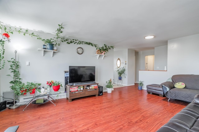 living room with wood-type flooring