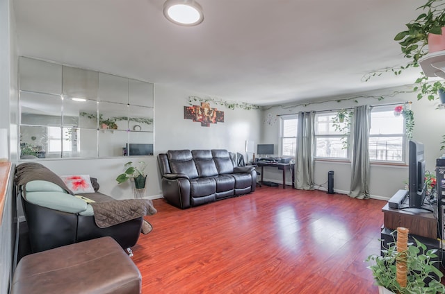 living room with wood-type flooring