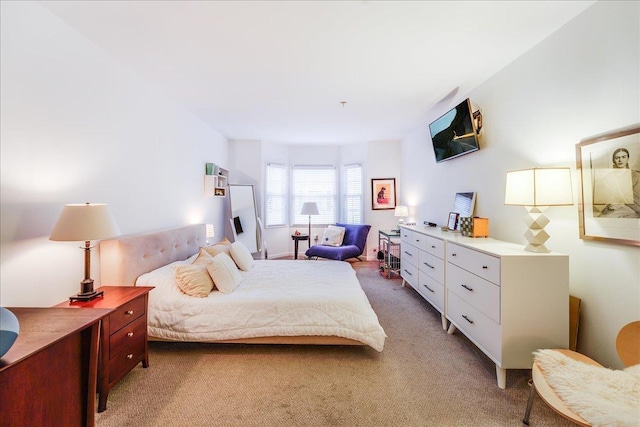252 The Promenade Unit 252, Edgewater, NJ 07020 - bedroom with light colored carpet