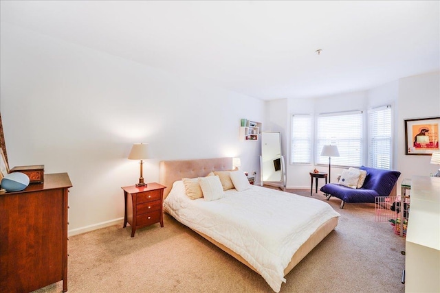 252 The Promenade Unit 252, Edgewater, NJ 07020 - bedroom with light colored carpet and baseboards