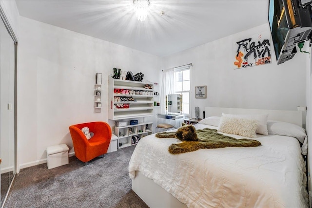 252 The Promenade Unit 252, Edgewater, NJ 07020 - bedroom featuring carpet floors and a closet
