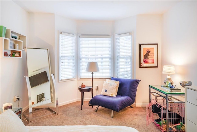 252 The Promenade Unit 252, Edgewater, NJ 07020 - living area with carpet and baseboards