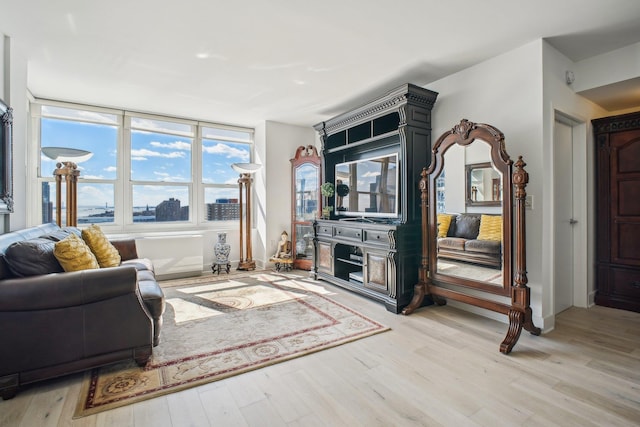 living area featuring light wood-type flooring