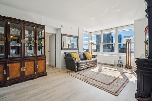 living area with baseboards, a city view, and light wood-style flooring