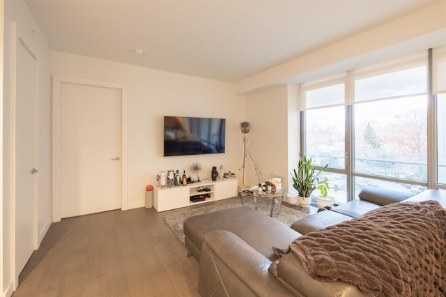 living room featuring wood-type flooring