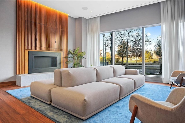 living room with light hardwood / wood-style floors