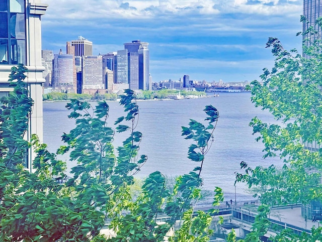 77 Hudson St Unit 1408, Jersey City, NJ 07302 - property view of water with a city view