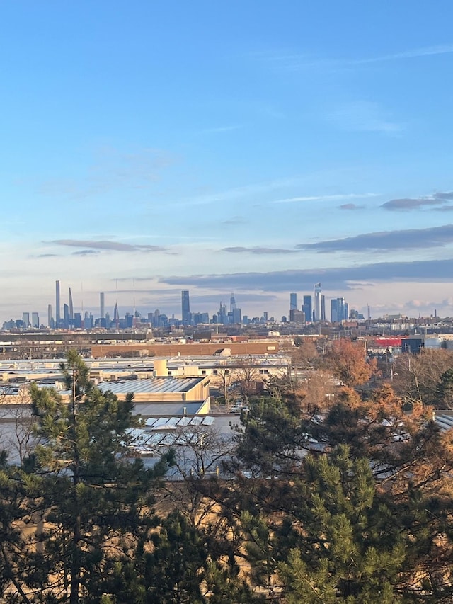 aerial view with a city view