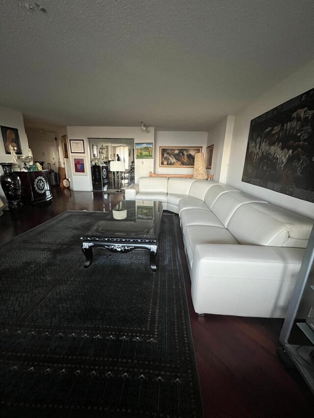 unfurnished living room featuring a textured ceiling and wood-type flooring