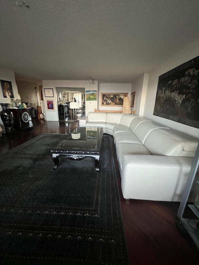 living room featuring a textured ceiling and wood finished floors