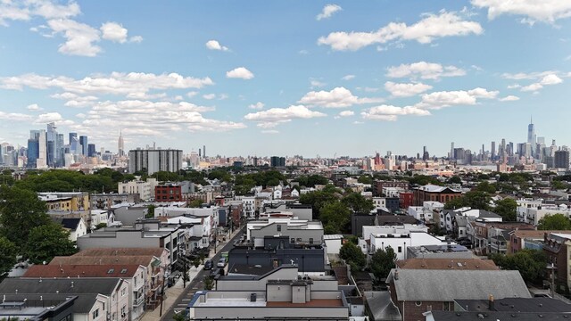 45 Graham St Unit 1, Jersey City, NJ 07307 - skyline view