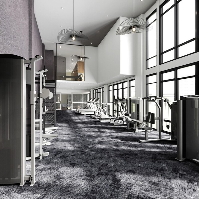 gym with a high ceiling and carpet