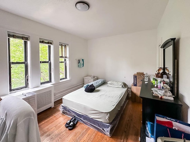 36 Duncan Ave Unit D2, Jersey City, NJ 07304 - bedroom with multiple windows, wood finished floors, and radiator heating unit
